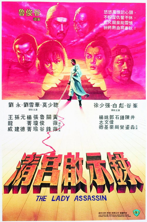 Lady Assassin poster