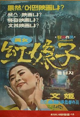 Lady Hong poster