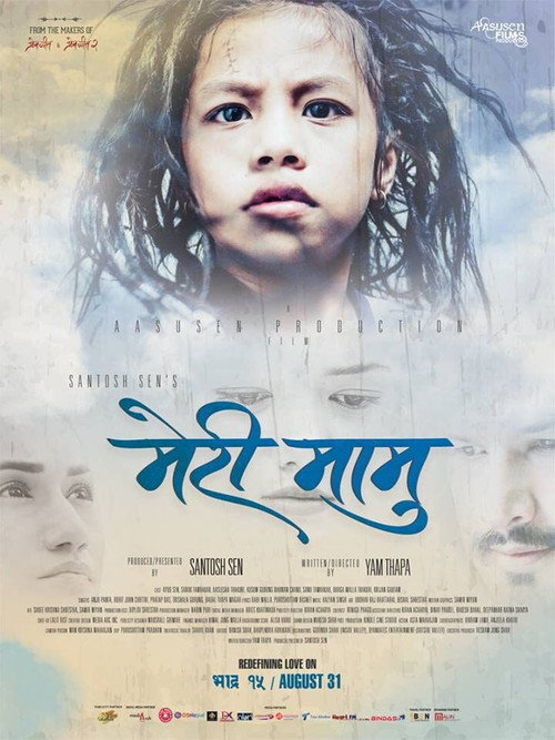 Meri Mamu poster
