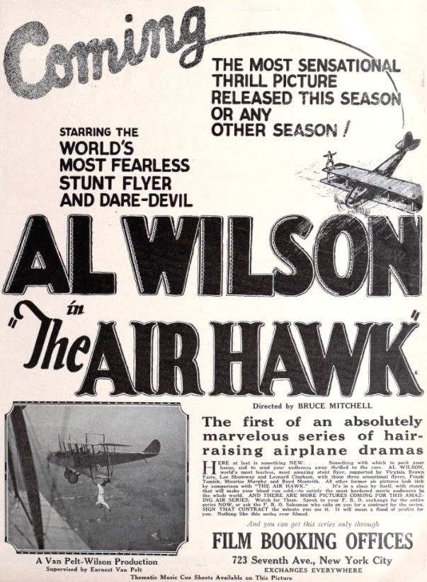 The Air Hawk poster