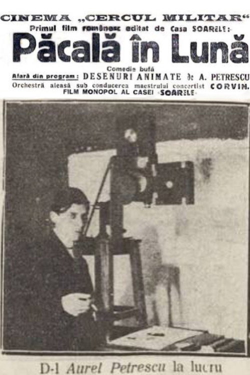 Păcală on the moon poster