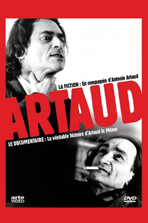 La véritable histoire d'Artaud le momo poster