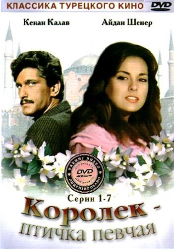 Çalıkuşu poster