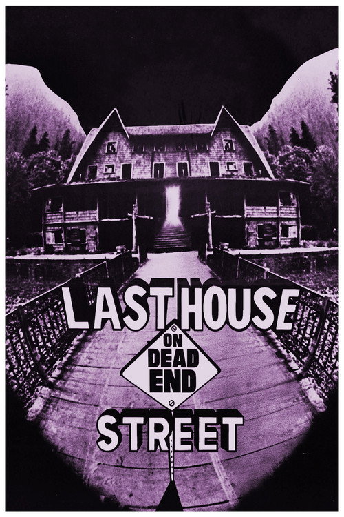 Last House on Dead End Street poster