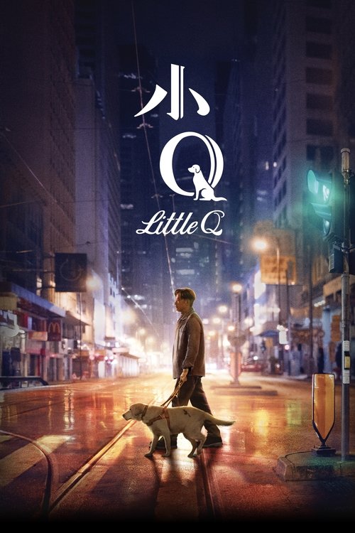 Little Quill poster