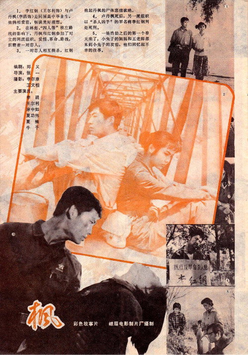 Feng poster