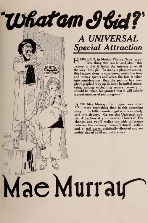 What Am I Bid? poster