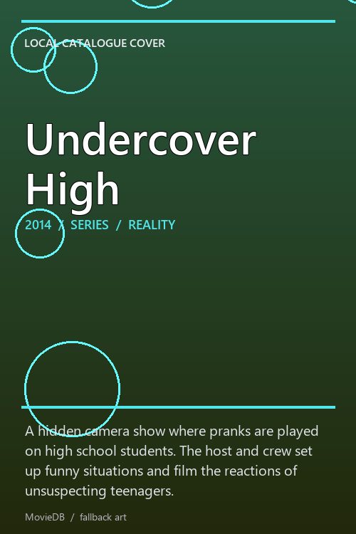Undercover High poster