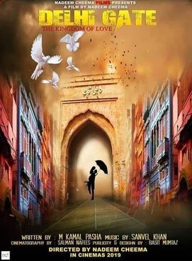 Delhi Gate poster
