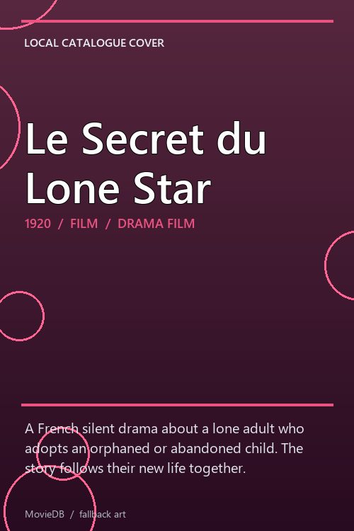 Le Secret du Lone Star poster
