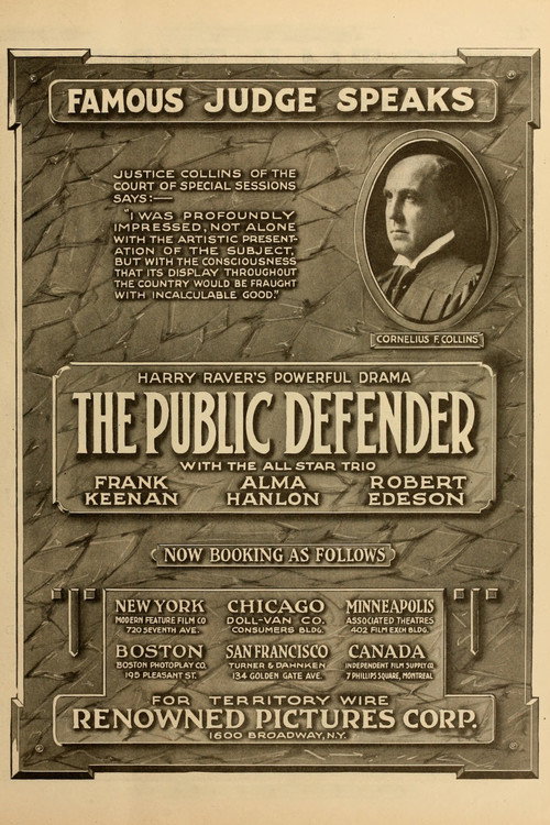 Public Defender poster