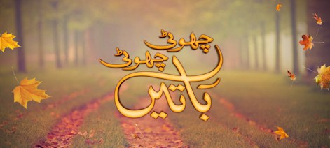 Choti Choti Batain poster
