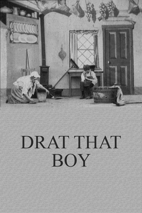 Drat That Boy poster