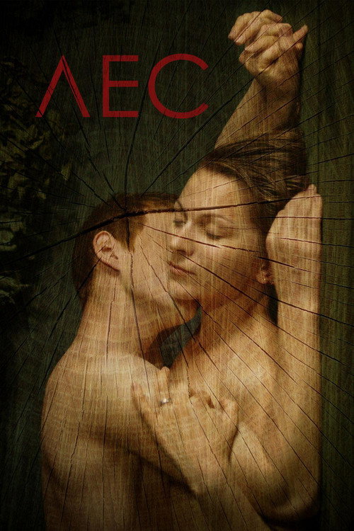 Forest poster