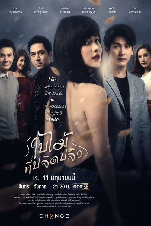 Bai Mai Tee Plid Plew poster
