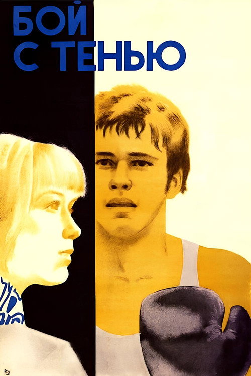 Shadow Fight poster