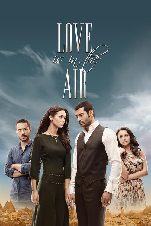 Love is in the Air poster