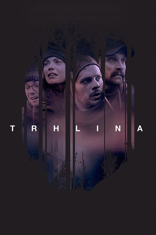 Trhlina poster