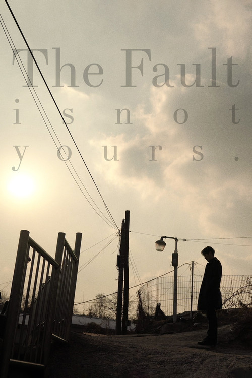 The Fault Is Not Yours poster