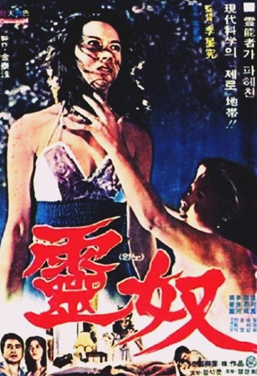 Fury Of Soul poster