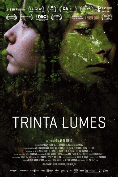 Thirty Souls (Trinta Lumes) poster