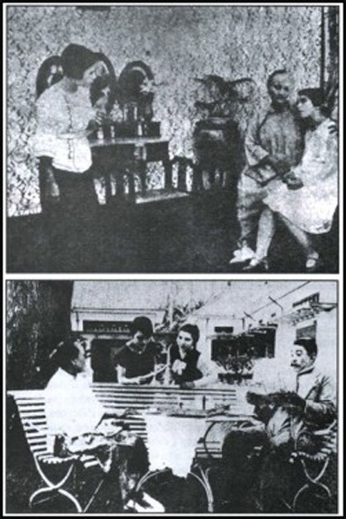 Lily van Java poster