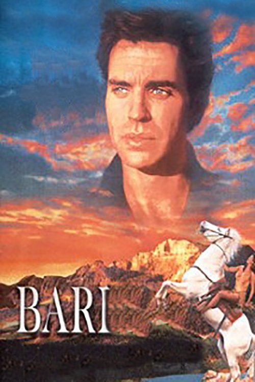 Northern Passage poster