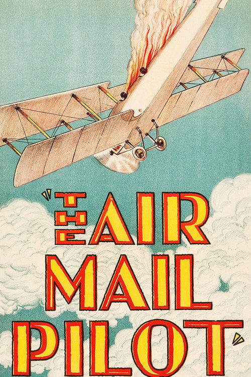 Air Mail Pilot poster