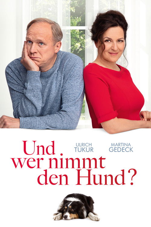 Lost in Separation poster