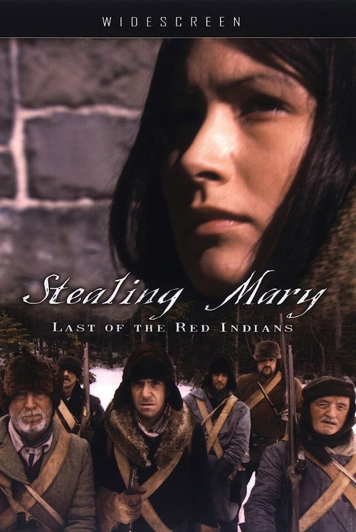 Stealing Mary poster
