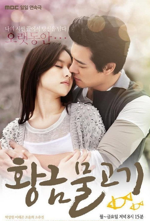 Golden Fish poster