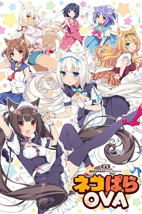 Nekopara OVA poster