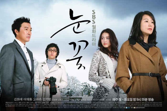 Snow Flower poster
