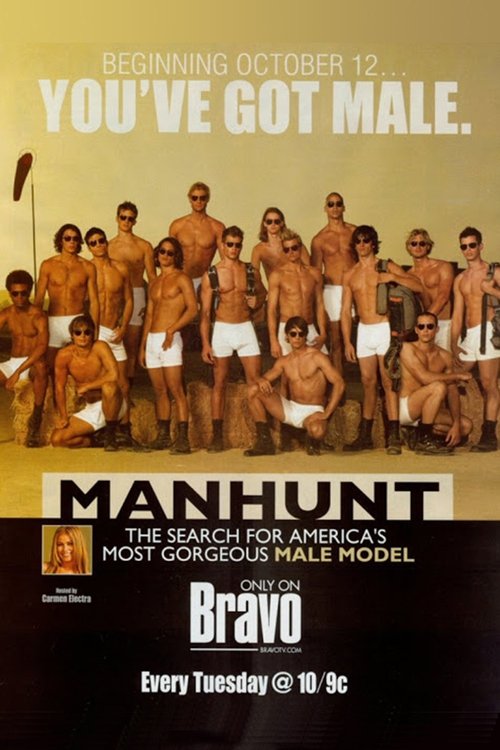 Manhunt poster