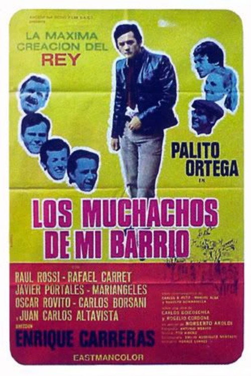 Los Muchachos de mi barrio poster
