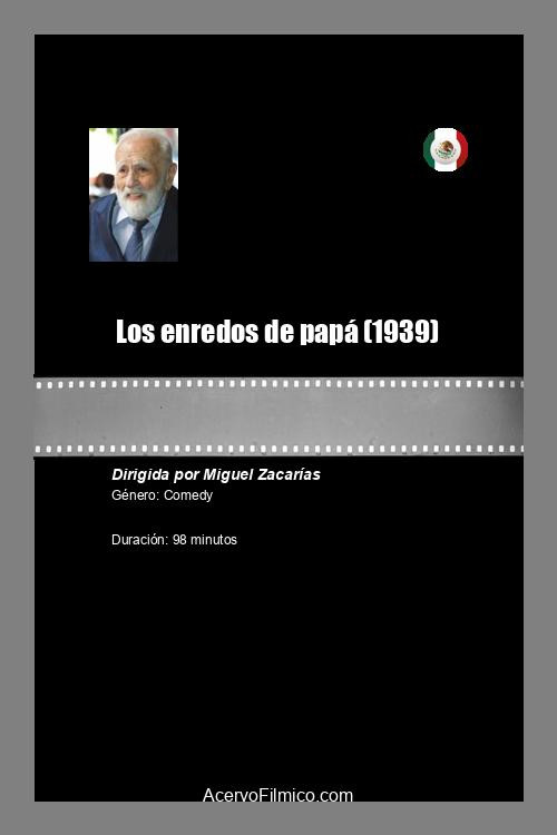 Los enredos de papá poster