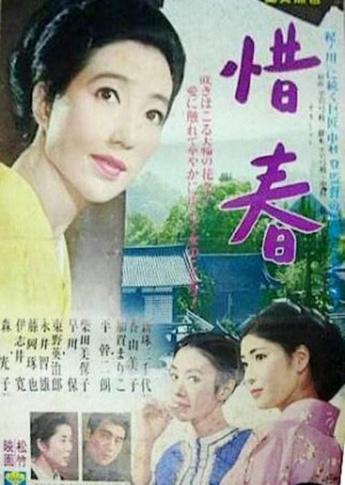 Lost Spring poster