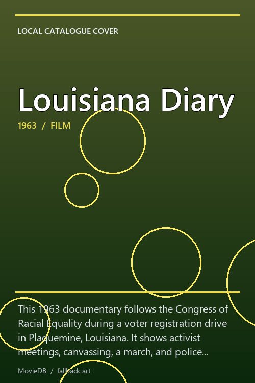 Louisiana Diary poster