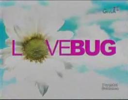 Love Bug poster