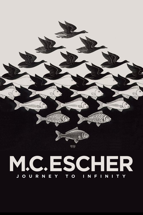 Escher: Journey Into Infinity poster