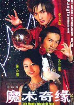 Magic Touch of Fate poster