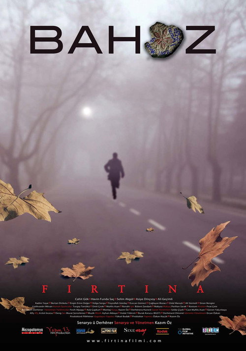 The storm poster