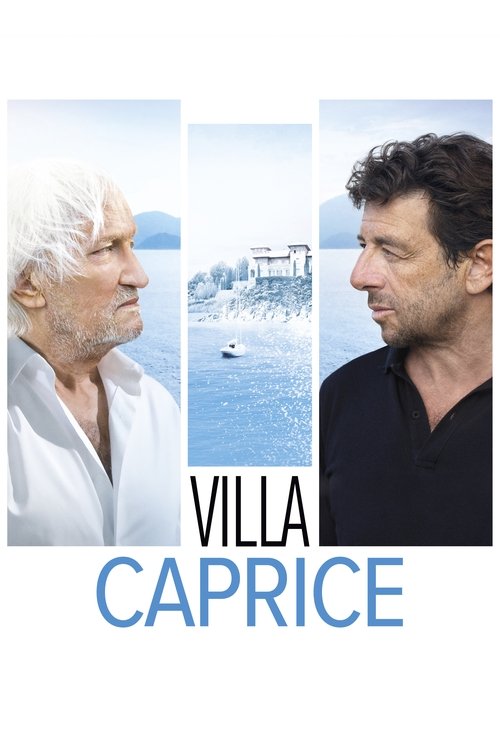 The Case poster