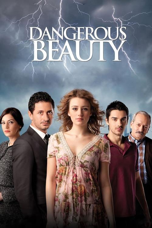 Eve Düşen Yıldırım poster