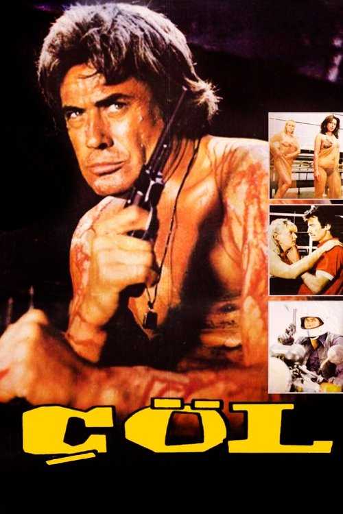 Çöl poster
