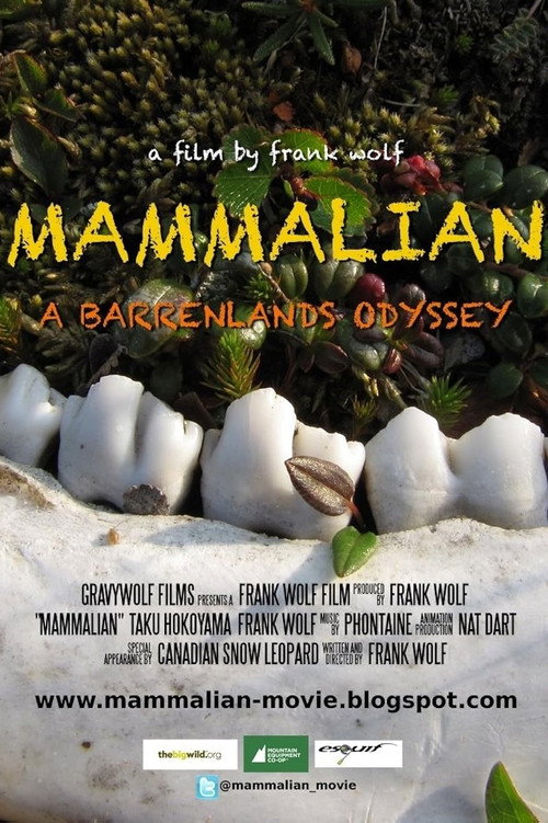 Mammalian poster