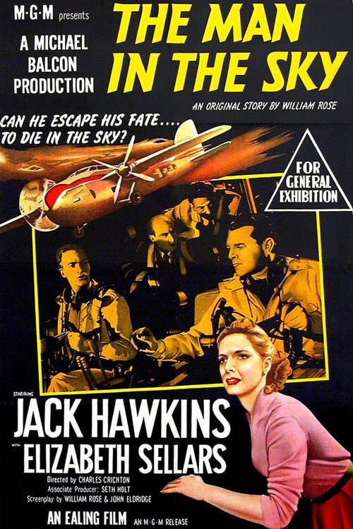 Man in the Sky poster