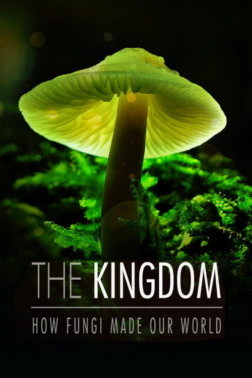 The Kingdom: How fungi made our world poster
