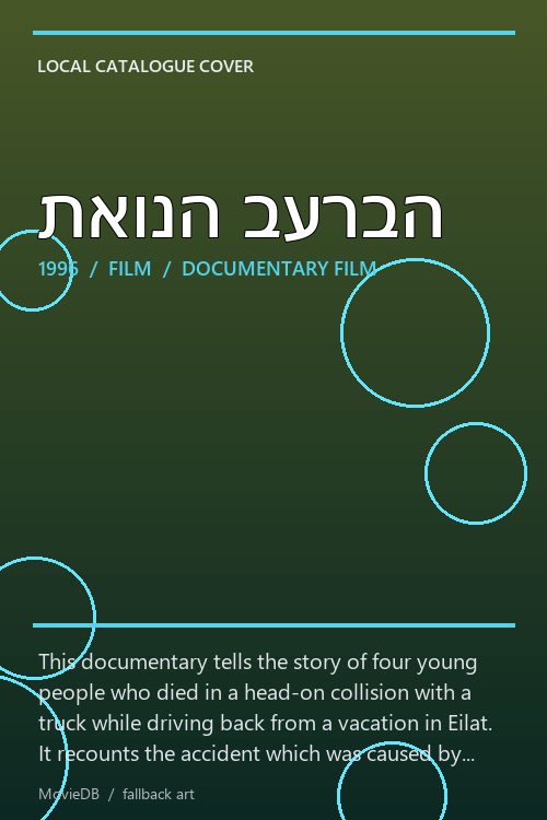 תאונה בערבה poster