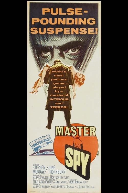 Master Spy poster